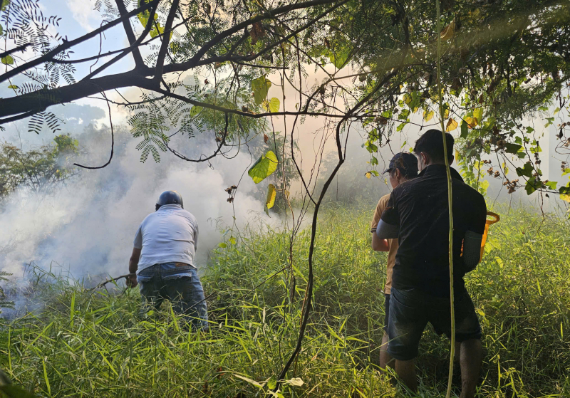 Khu dân cư hốt hoảng vì đám cháy do đốt cỏ dại -1