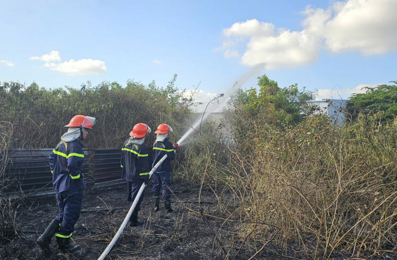 Khu dân cư hốt hoảng vì đám cháy do đốt cỏ dại -0