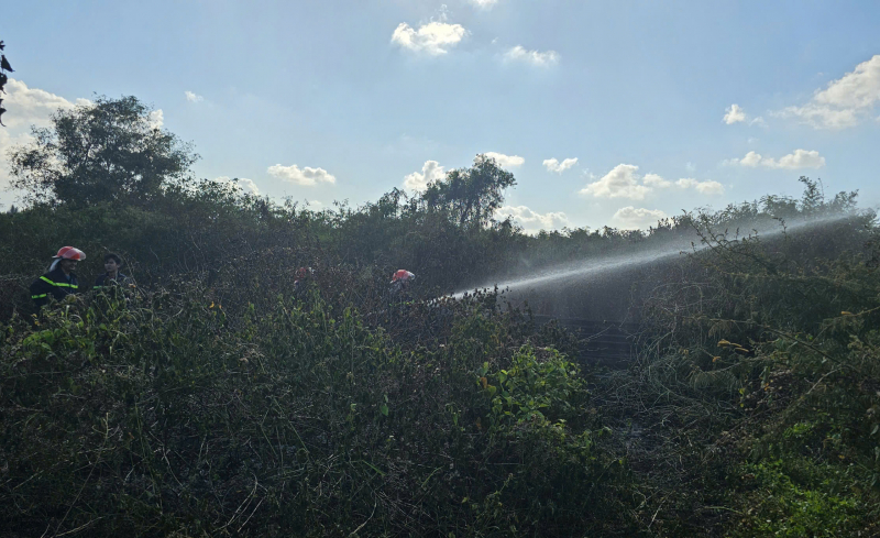 Khu dân cư hốt hoảng vì đám cháy do đốt cỏ dại -1