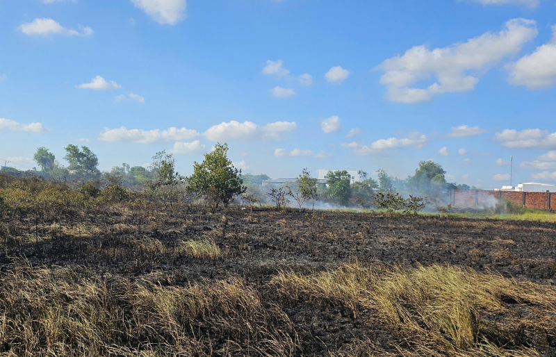 Khu dân cư hốt hoảng vì đám cháy do đốt cỏ dại -0