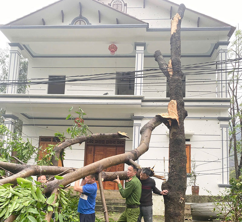 Khẩn trương hỗ trợ nhân dân khắc phục hậu quả thiên tai, mưa đá ở Tuyên Quang -2