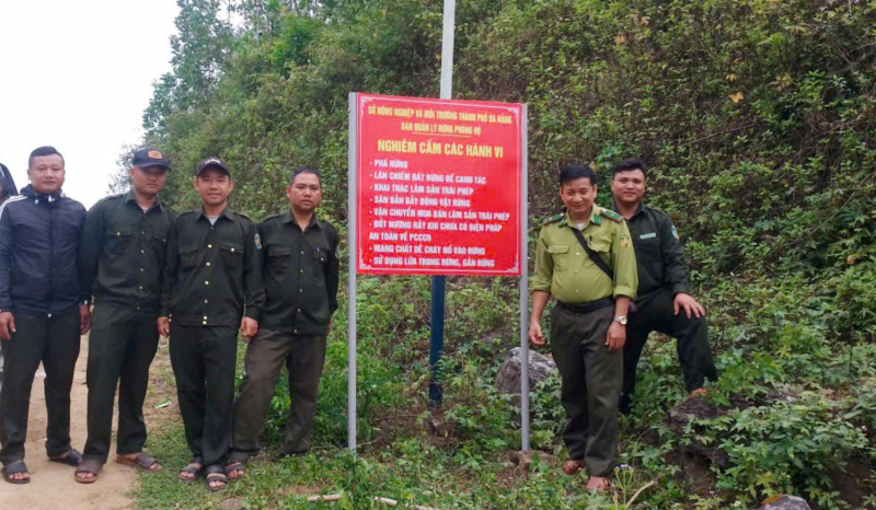 Đà Nẵng chủ động phòng, chống cháy rừng mùa nắng nóng -0