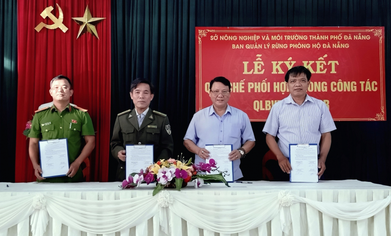 Đà Nẵng chủ động phòng, chống cháy rừng mùa nắng nóng -0