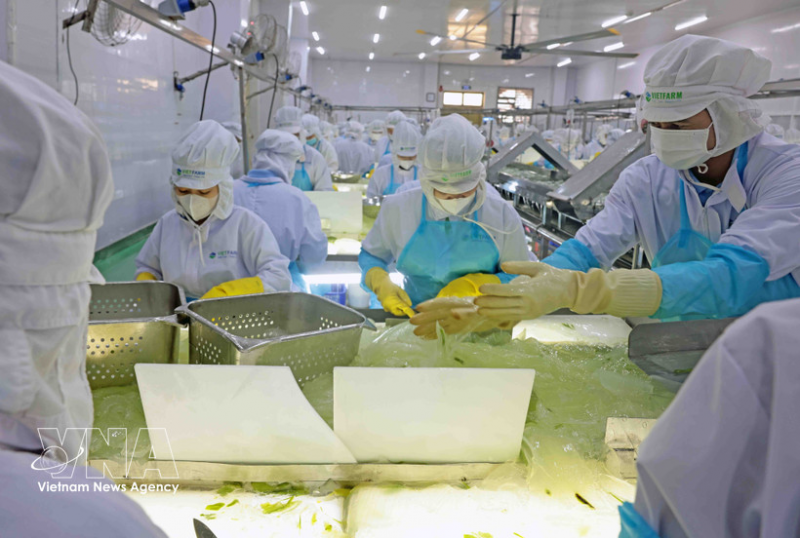 Vietnam launches drive to boost private sector, reform state enterprises -0