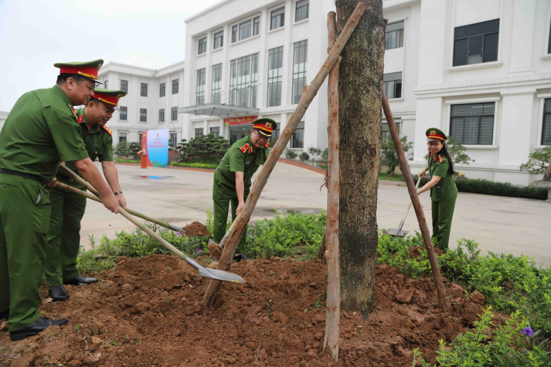 img_7015 (1).jpeg -3