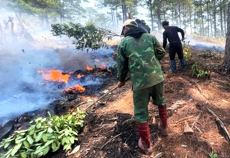 Canh gác giữ rừng giữa mùa khô Tây Nguyên -0