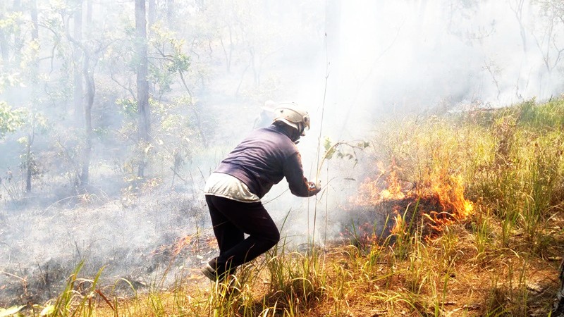 Canh gác giữ rừng giữa mùa khô Tây Nguyên -0