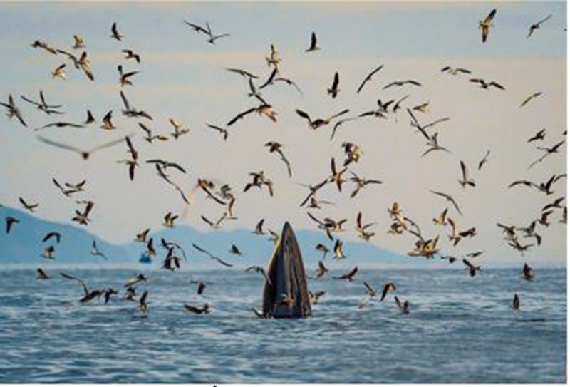 Lấy Tây Nguyên làm trung tâm, xây dựng mô hình phát triển du lịch liên kết vùng -0