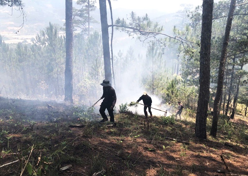 Canh gác giữ rừng giữa mùa khô Tây Nguyên -0