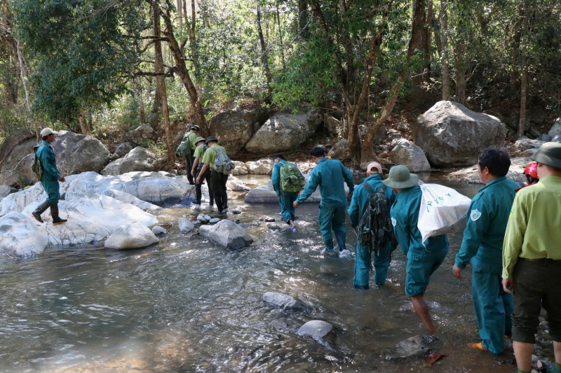 Khánh Hòa siết chặt phòng, chống cháy rừng trong mùa khô  -0