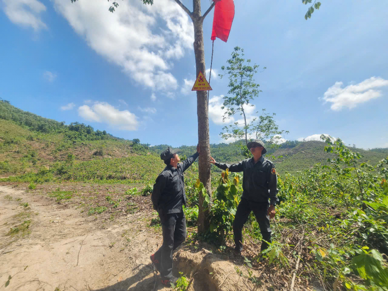 Khánh Hòa siết chặt phòng, chống cháy rừng trong mùa khô  -0