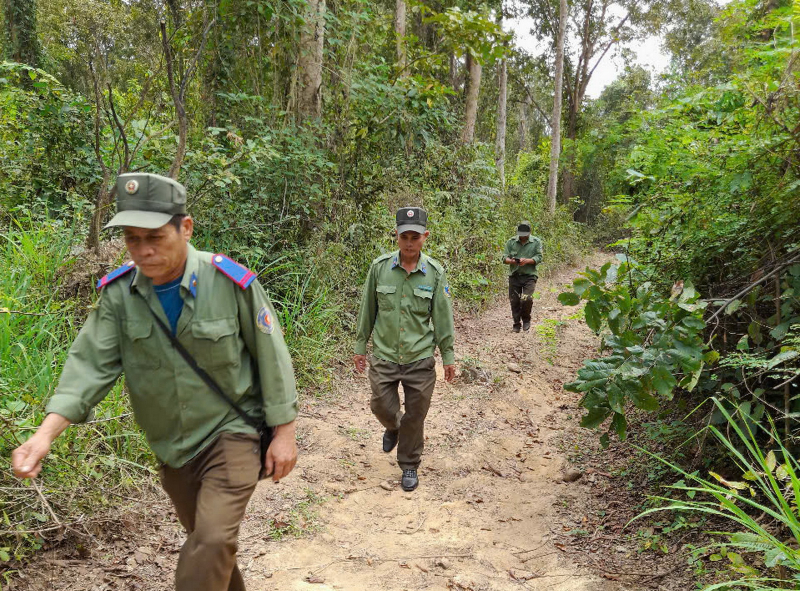 Khánh Hòa siết chặt phòng, chống cháy rừng trong mùa khô  -0
