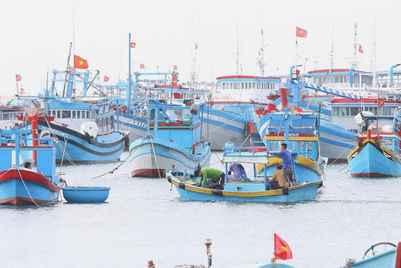 Ngư dân, doanh nghiệp xoay trục tiết kiệm ứng phó với giá nhiên liệu -0