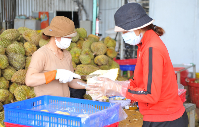 Xử lý nghiêm những thương lái bất chấp pháp luật trong mua bán sầu riêng -0