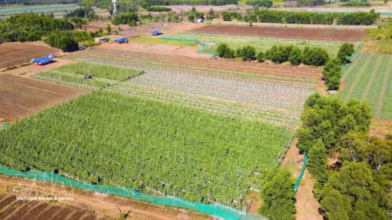 Data, digitalisation key to unlocking sustainable growth in Vietnam’s agriculture -0