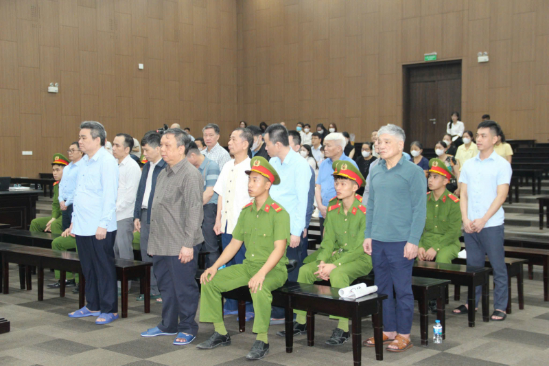 Giám đốc Công ty Hoàng Dân xin bán 175 cây vàng và bất động sản để khắc phục hậu quả -0