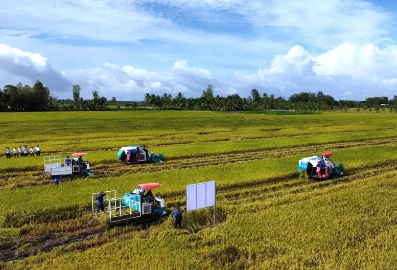 Doanh nghiệp, hiệp hội chung tay giữ nhịp sản xuất nông nghiệp -0