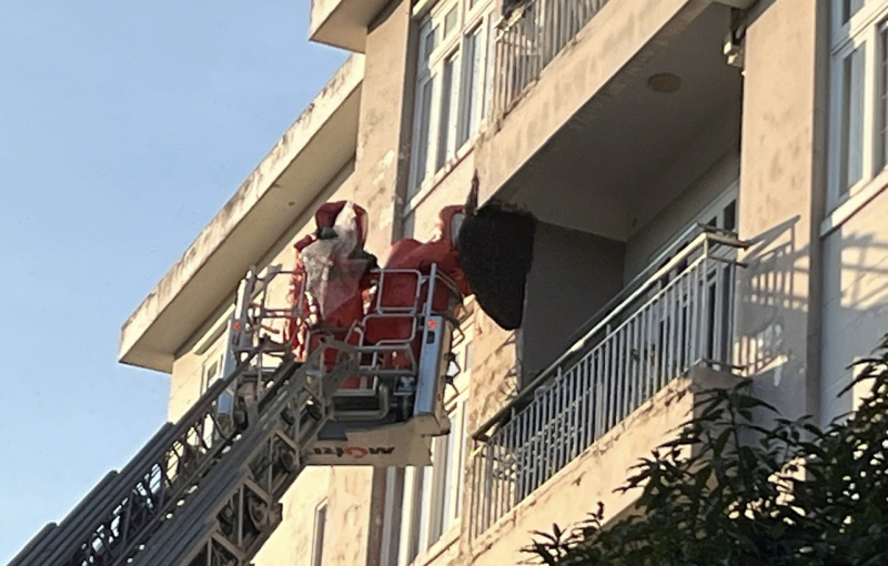 Dân trút gánh nặng khi tổ ong dài gần 1m đe dọa nhiều tháng nay được phá bỏ -0