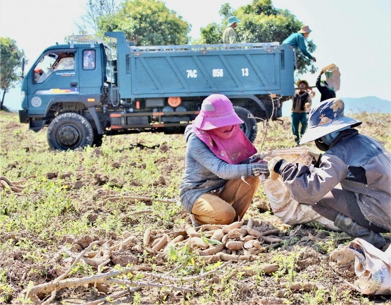 Người đi trước mở đường ở Vùng Kho -0