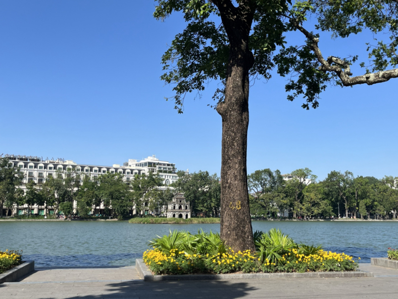 Lợi ích lớn từ giao thông không khói, vùng phát thải thấp  -0