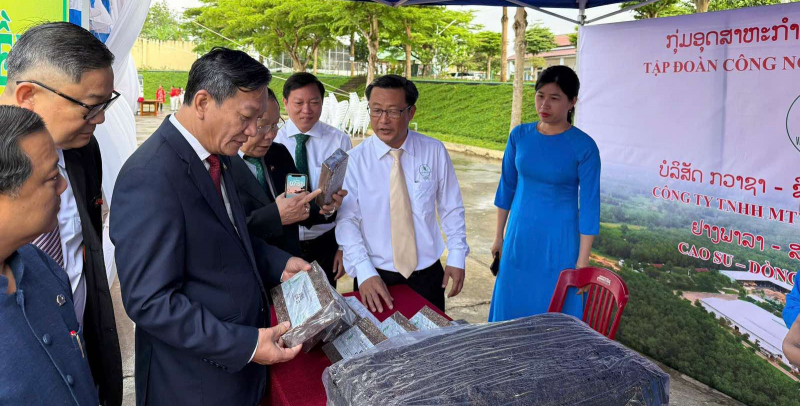 Dấu ấn Cao su Việt Nam trên đất bạn Lào -0