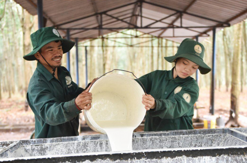 Dấu ấn Cao su Việt Nam trên đất bạn Lào -0