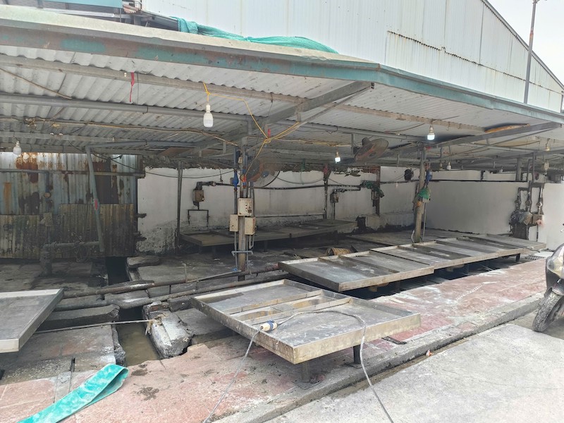 Đường dây giết mổ, tiêu thụ gần 300 tấn thịt lợn nhiễm dịch tả châu Phi được triệt phá như thế nào? -1