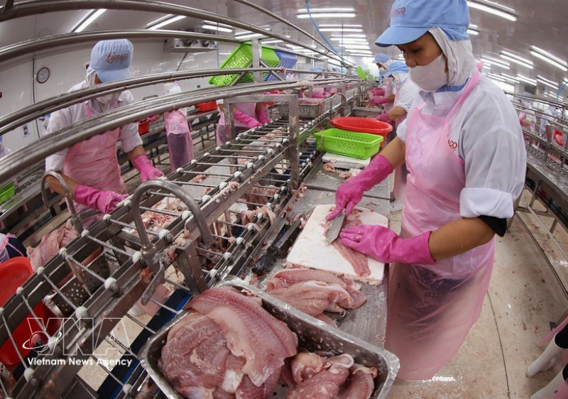 Agro-forestry-fishery exports rise nearly 6% in Q1 -0