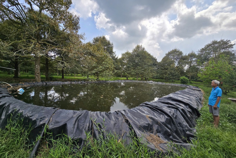 z7673032130490_2c9e551e79fdc73038d184f9a101be90.jpg -0