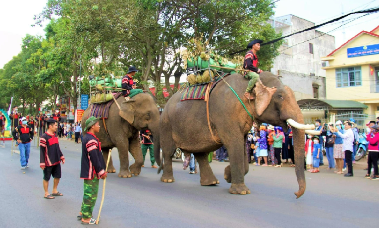 Nhiều hoạt động hấp dẫn tại Lễ hội Sầu riêng Đắk Lắk lần I, năm 2026 -0