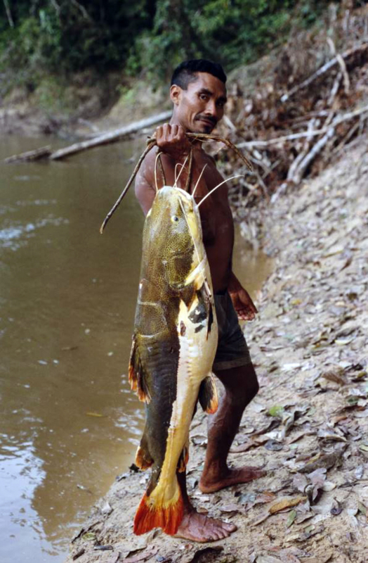 Loài cá di cư xa nhất Trái Đất -0