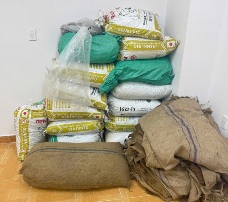 Triệt phá băng nhóm 