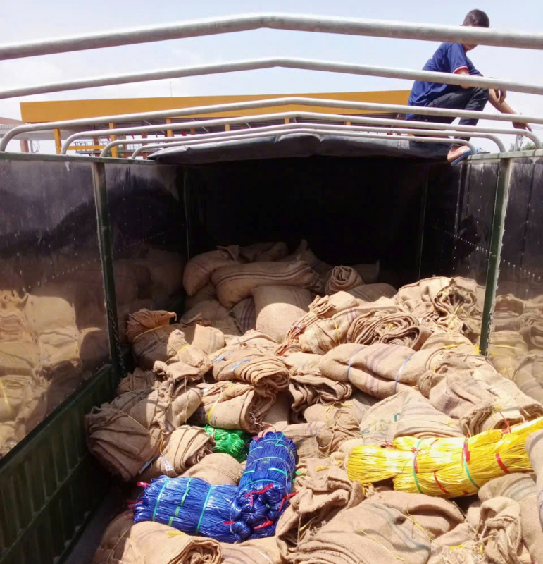 Triệt phá băng nhóm 