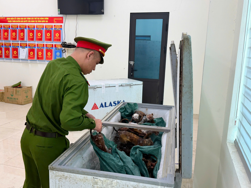 Bắt giữ nhóm đối tượng 