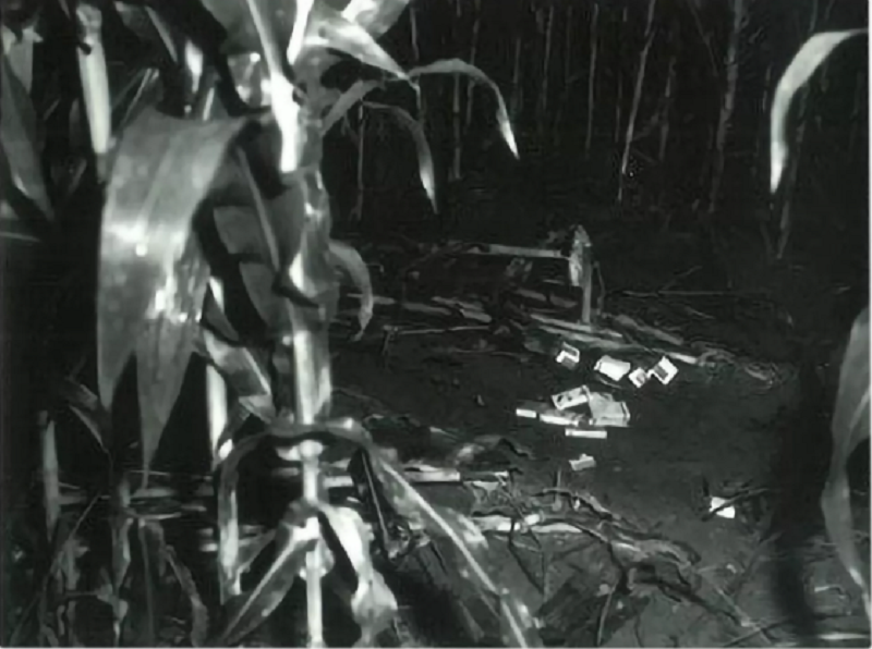 48 năm truy tìm “tên sát nhân ở Indiana” -0