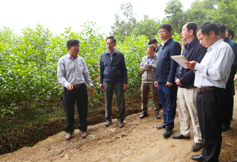 Hơn 200 hộ dân sống thấp thỏm dưới chân núi Chư Yang Hanh -0