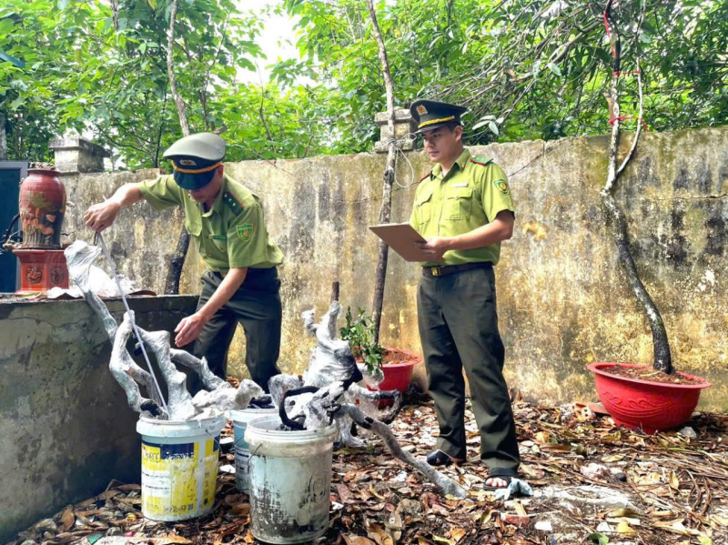 Cơn sốt “muội hồng”: Thú chơi tiềm ẩn những hệ lụy pháp lý và hiểm nguy rình rập -0