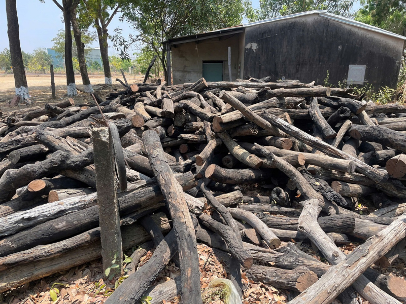 Xác minh nguồn gốc số lượng lớn củi rừng tập kết ở vùng giáp ranh -0