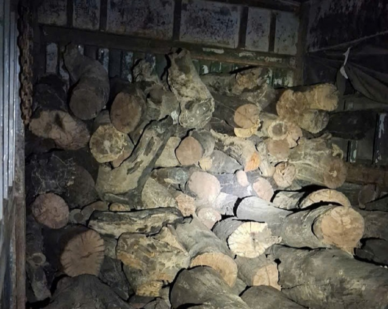 Xác minh nguồn gốc số lượng lớn củi rừng tập kết ở vùng giáp ranh -1