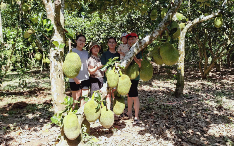 Đà Nẵng phát triển du lịch bền vững từ giá trị nguyên bản -0