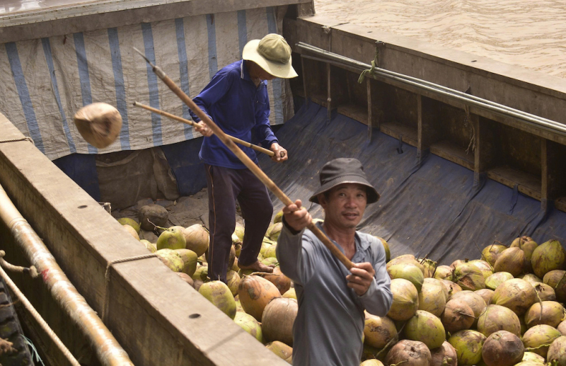 Giải quyết điệp khúc trái cây “lên đỉnh, xuống đáy”, cần nâng chất chuỗi giá trị -0