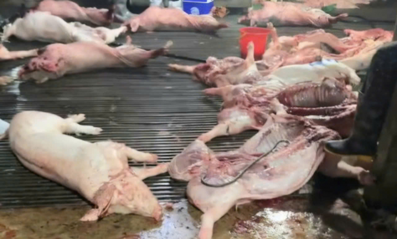 Cảnh sát phòng chống tội phạm về môi trường: Quyết liệt ngăn chặn thực phẩm bẩn và hàng giả -0