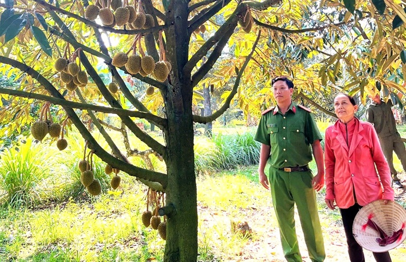 Chủ động đấu tranh, phòng ngừa tội phạm trộm cắp tài sản tại Lâm Đồng -0