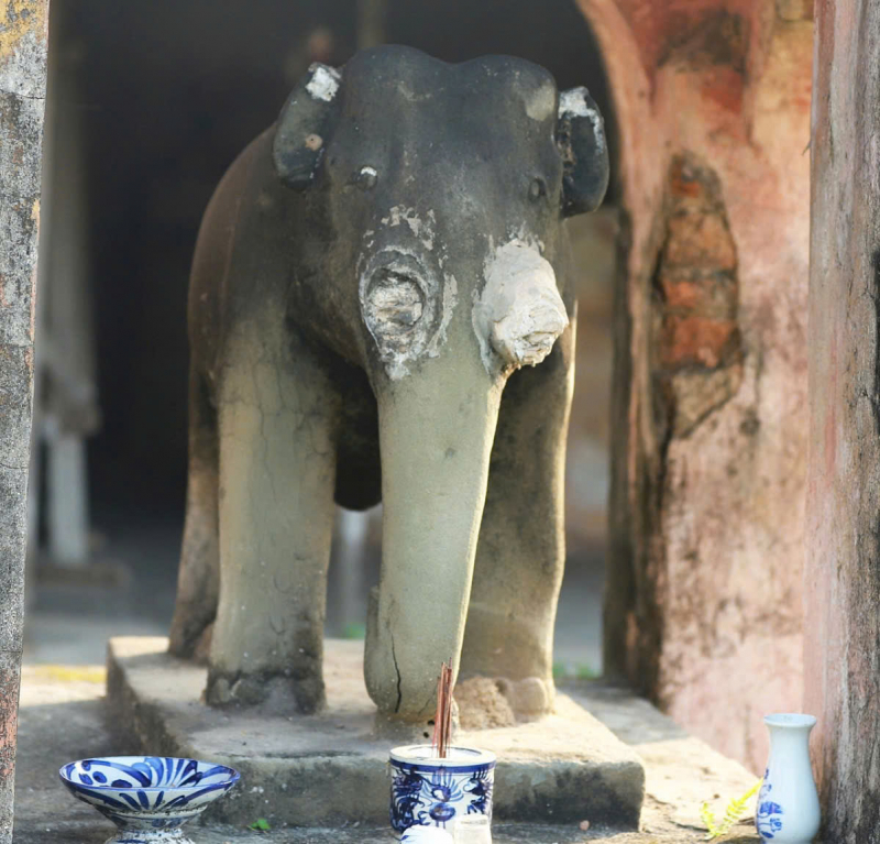 Xót xa cảnh xuống cấp của nơi thờ Voi chiến triều Nguyễn -0