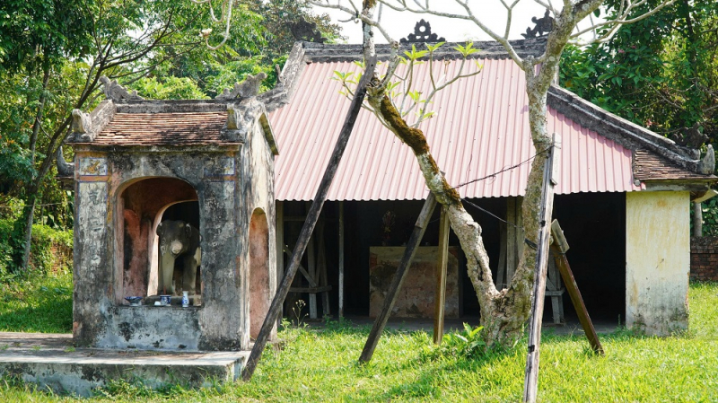 Xót xa cảnh xuống cấp của nơi thờ Voi chiến triều Nguyễn -1
