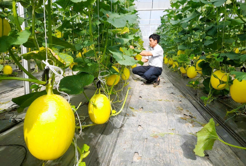 Đồng bào dân tộc Khmer vui mừng đón Tết cổ truyền Chôl Chnăm Thmây -0