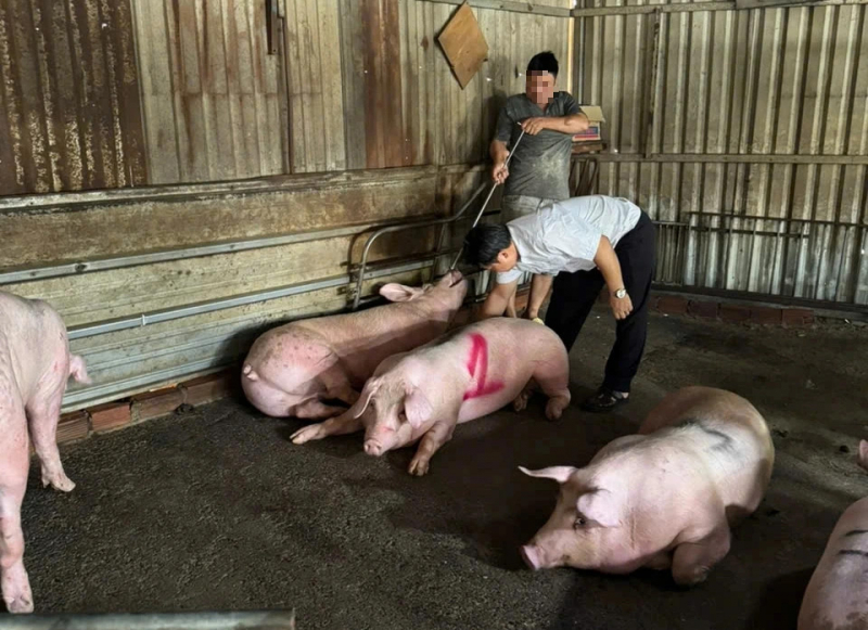 TP Hồ Chí Minh: Quyết liệt cuộc chiến chống “thực phẩm bẩn” từ cửa ngõ đến bàn ăn -0