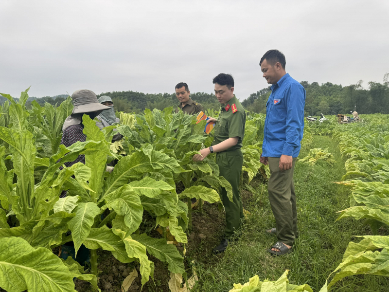 Gõ cửa từng nhà, đẩy lùi ma túy ở Nam Tuấn -0