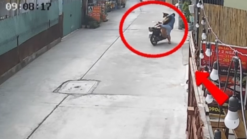 Quyết liệt truy bắt, xử lý nghiêm, không để tội phạm trộm cắp vật nuôi gây bức xúc dư luận -0