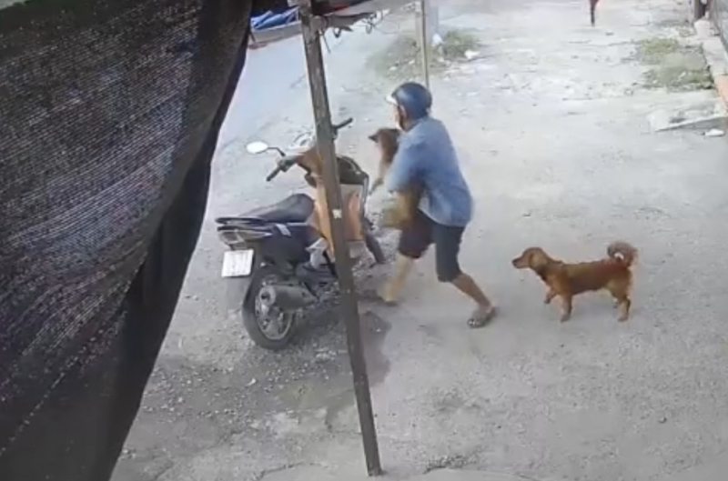 Quyết liệt truy bắt, xử lý nghiêm, không để tội phạm trộm cắp vật nuôi gây bức xúc dư luận -1